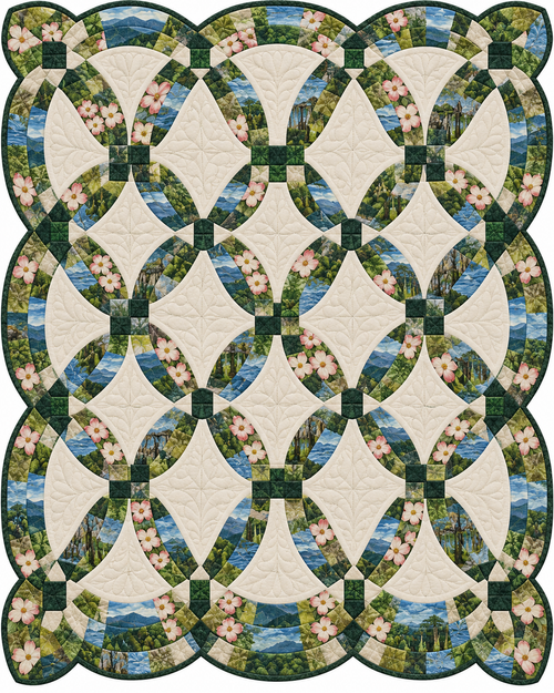 Arkansas Ribbon Rings quilt blanket design
