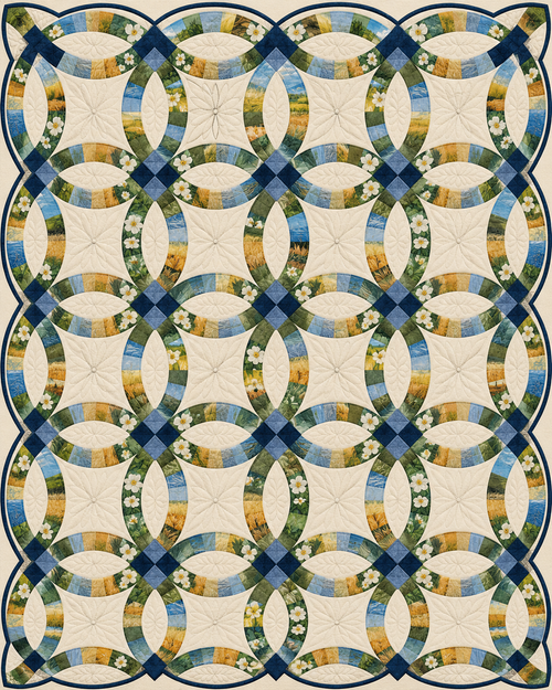 Illinois Ribbon Rings quilt blanket design